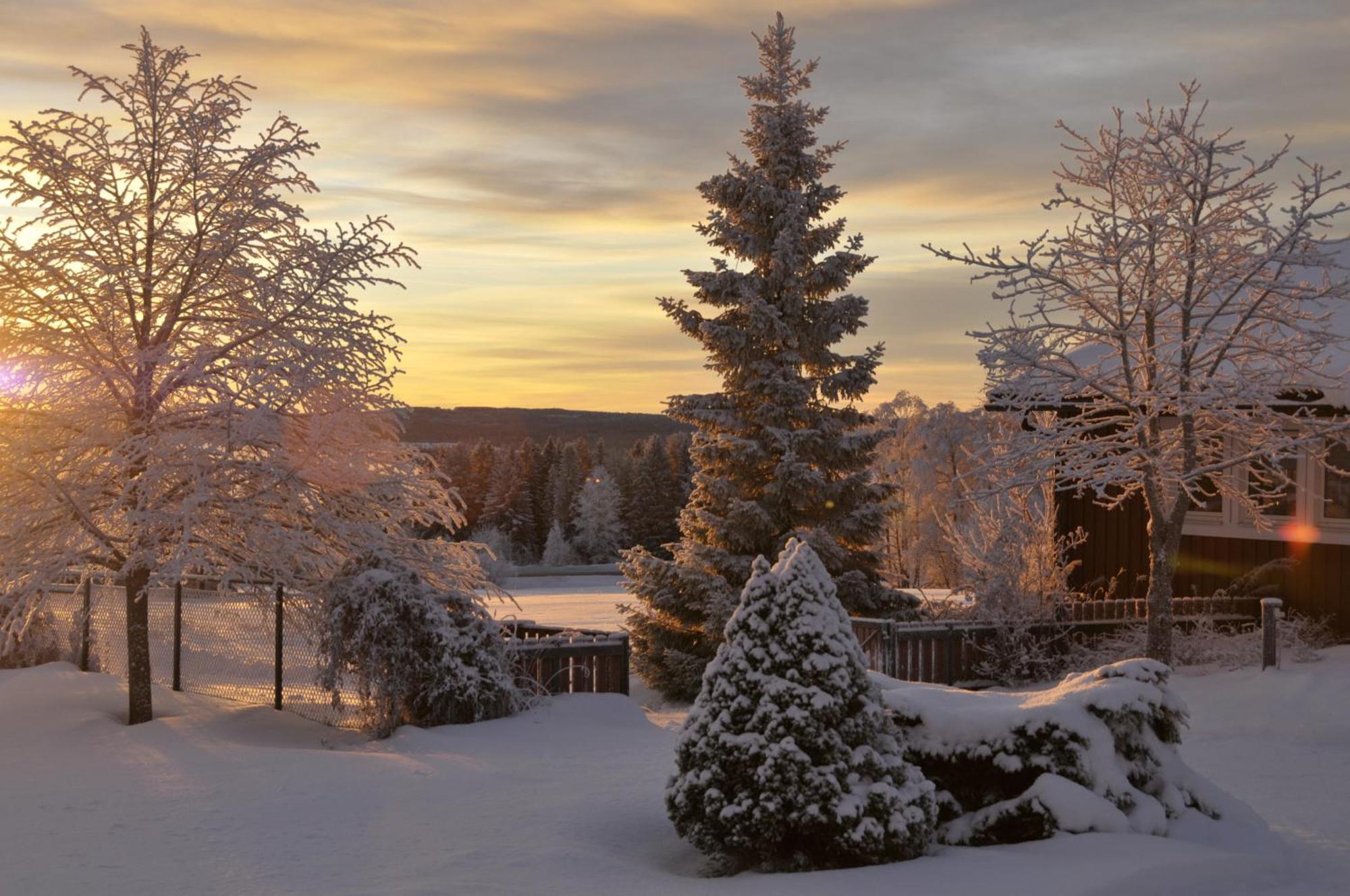Bed and Breakfast Langaenge Logi Tandsbyn Екстер'єр фото