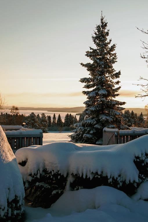 Bed and Breakfast Langaenge Logi Tandsbyn Екстер'єр фото