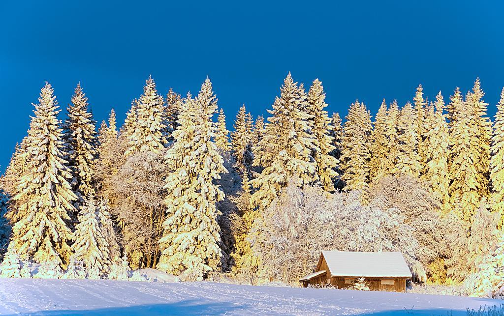 Bed and Breakfast Langaenge Logi Tandsbyn Екстер'єр фото